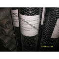 Galvanized Hexagonal Wire Netting (CT-HEX)